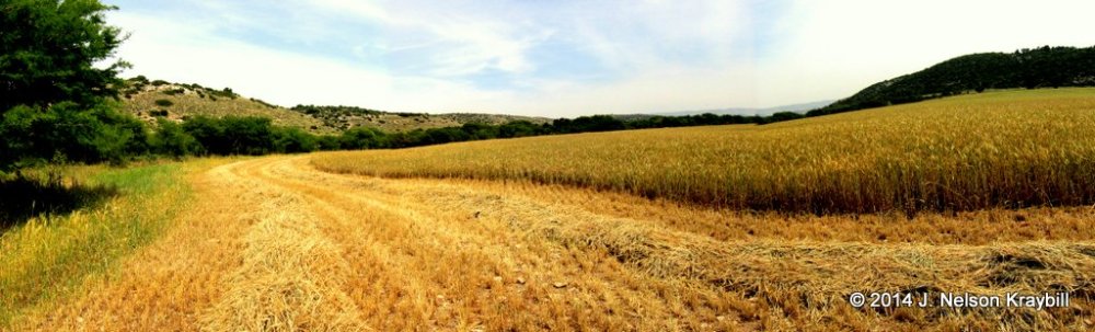 Elah Valley, looking East