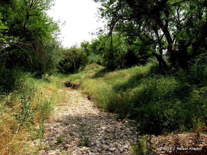 Wadi Elah--"five smooth stones"!