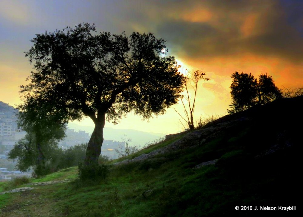 Hinnom Valley slopes, south bank, looking E at runrise