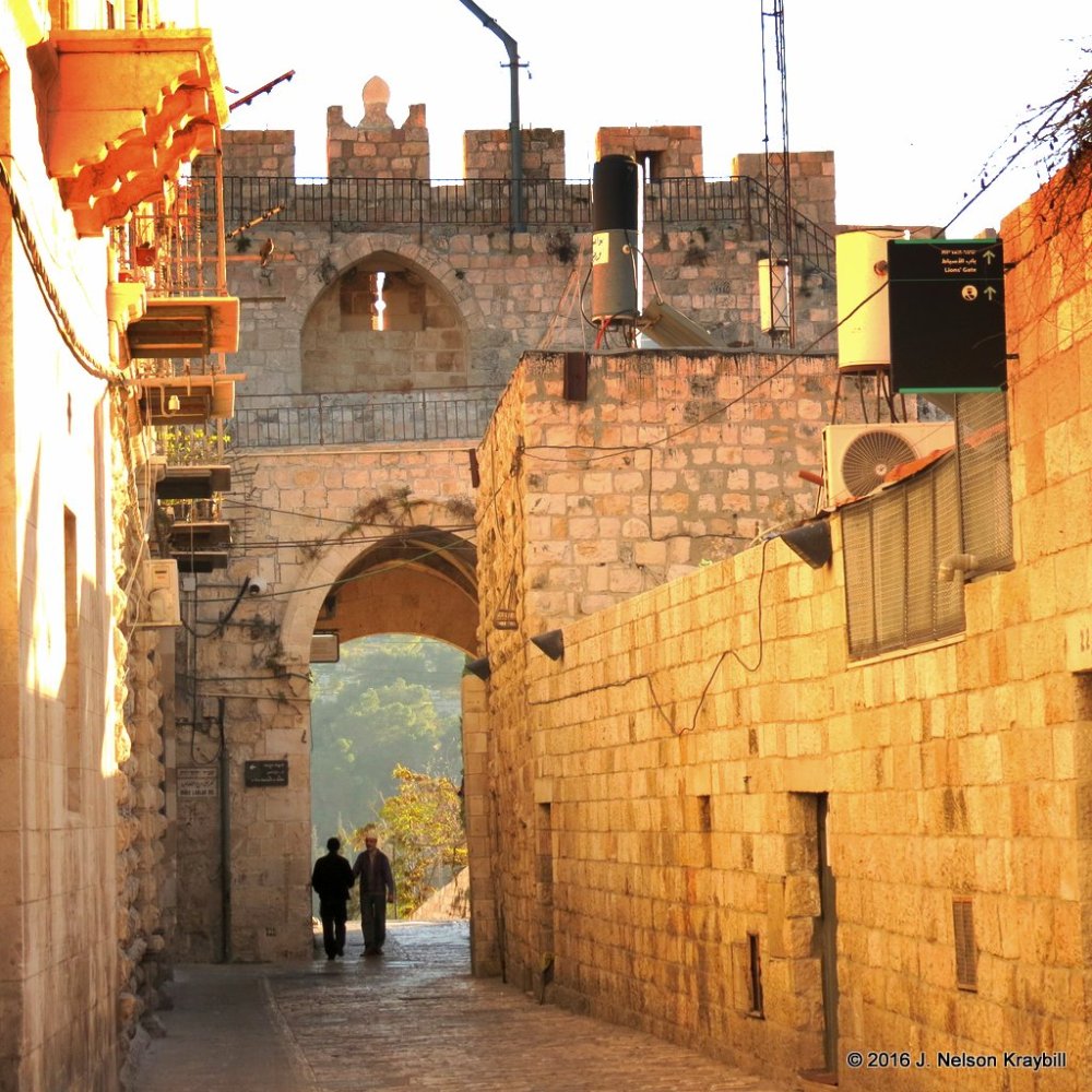 Lion Gate or Stephern's Gate